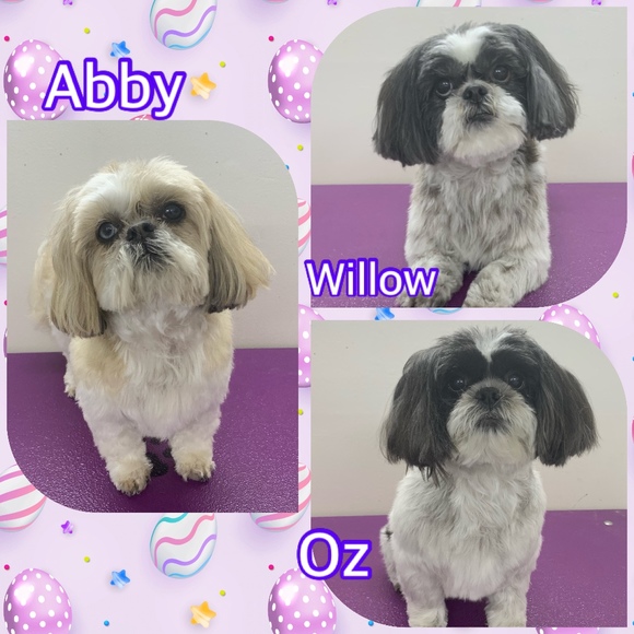 Meet your Posher, Peggy - Picture 1 of 1